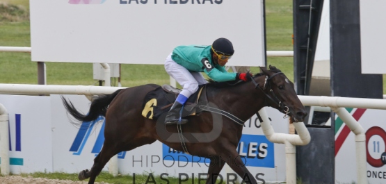 Domingo 5 de febrero de 2017 - Hipódromo Las Piedras