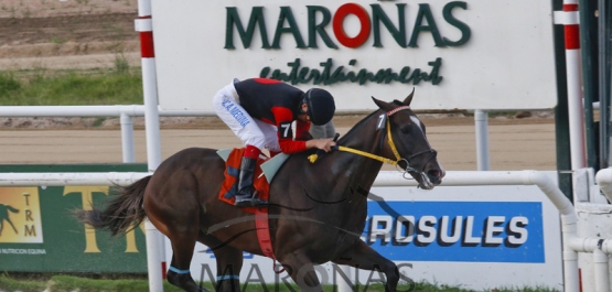 Viernes 10 de febrero de 2017 - Hipódromo Nacional de Maroñas