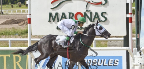 Sábado 11 de febrero de 2017 - Hipódromo Nacional de Maroñas