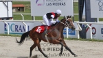 Gran Premio Selección
