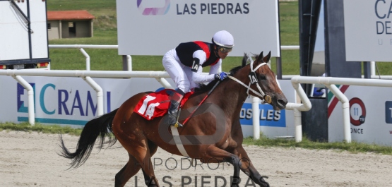 Gran Premio Selección