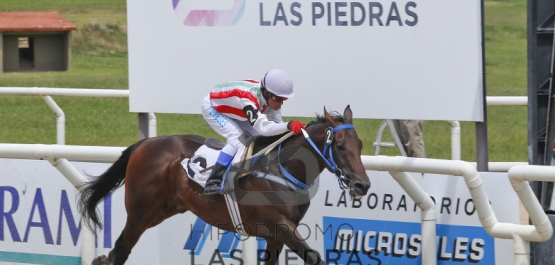 Domingo 12 de febrero de 2017 - Hipódromo Las Piedras