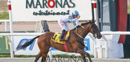 Viernes 17 de febrero de 2017 - Hipódromo Nacional de Maroñas