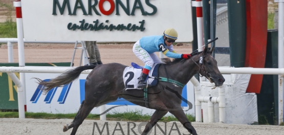 Sábado 18 de febrero de 2017 - Hipódromo Nacional de Maroñas