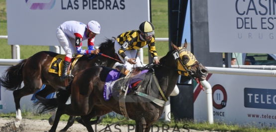 GRAN PREMIO JOCKEY CLUB