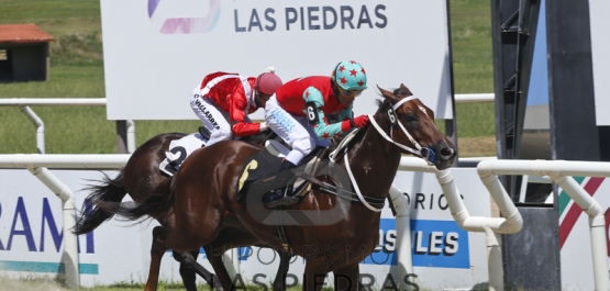 Domingo 19 de febrero de 2017 - Hipódromo Las Piedras