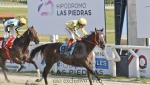 PREFERENCIAL "ARTURO PIÑEYRO"