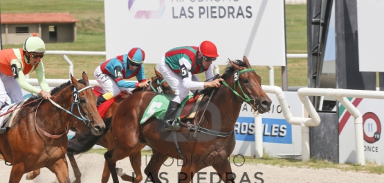 Sábado 25 de febrero de 2017 - Hipódromo Las Piedras