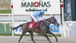 CLÁSICO LOS HARAS (G 3)