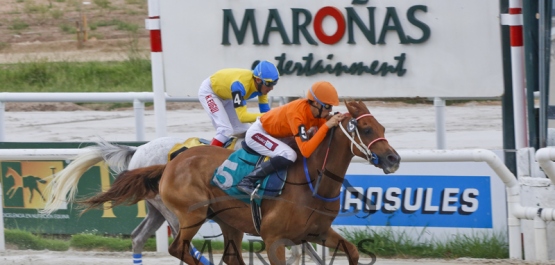 Domingo 26 de febrero de 2017 - Hipódromo Nacional de Maroñas