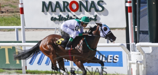 Domingo 5 de marzo de 2017 - Hipódromo Nacional de Maroñas