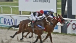 CLÁSICO ESTÍMULO