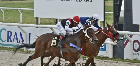 CLÁSICO ESTÍMULO