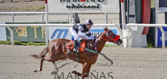 Domingo 12 de marzo de 2017 - Hipódromo Nacional de Maroñas