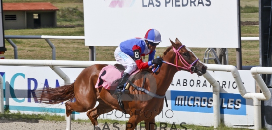 Sábado 18 de marzo de 2017 - Hipódromo Las Piedras