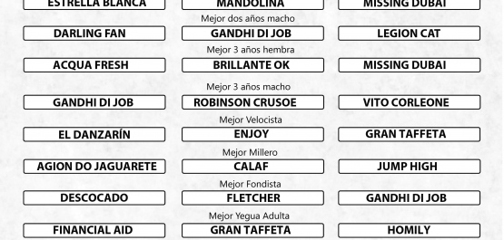 Ternas Distinciones Maroñas 2016