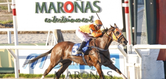 Viernes 24 de marzo de 2017 - Hipódromo Nacional de Maroñas