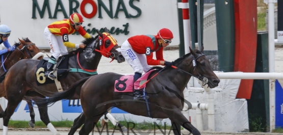 Domingo 26 de marzo de 2017 - Hipódromo Nacional de Maroñas