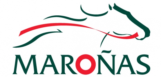 Sorteo Gral. Artigas