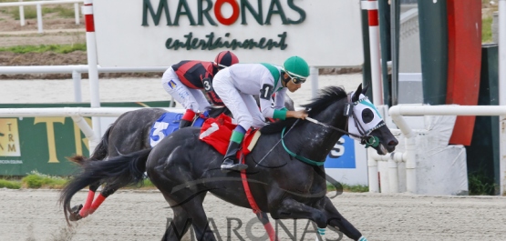 CLÁSICO HARAS DEL URUGUAY - POTRILLOS