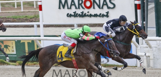 Domingo 9 de abril de 2017 - Hipódromo Nacional de Maroñas