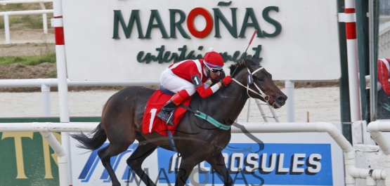 Domingo 16 de abril de 2017 - Hipódromo Nacional de Maroñas