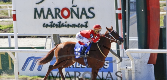 Domingo 23 de abril de 2017 - Hipódromo Nacional de Maroñas