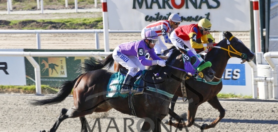 Viernes 28 de abril de 2017 - Hipódromo Nacional de Maroñas