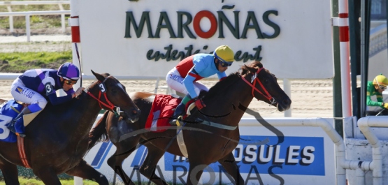 Domingo 30 de abril de 2017 - Hipódromo Nacional de Maroñas