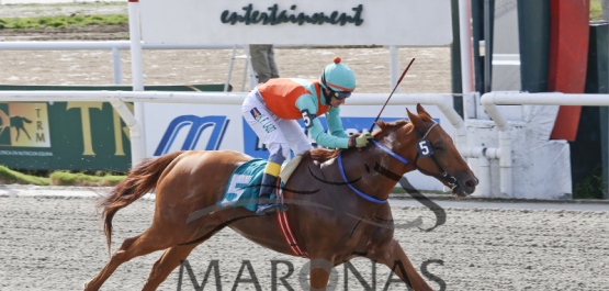 Domingo 7 de mayo de 2017 - Hipódromo Nacional de Maroñas