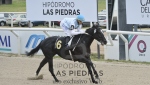 Gran Premio Ubaldo Seré