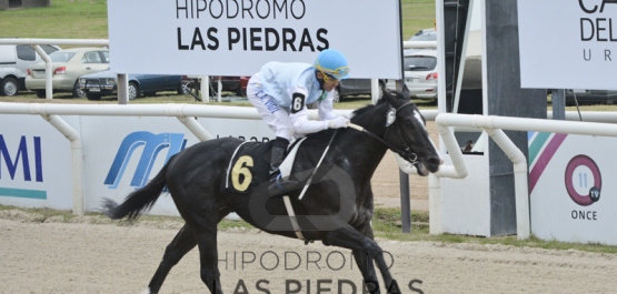 GRAN PREMIO UBALDO SERÉ