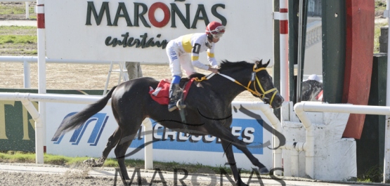 Sábado 20 de mayo de 2017 - Hipódromo Nacional de Maroñas