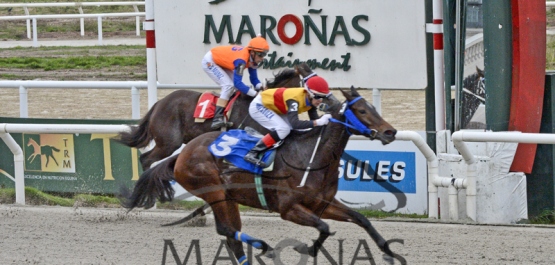 Domingo 21 de mayo de 2017 - Hipódromo Nacional de Maroñas