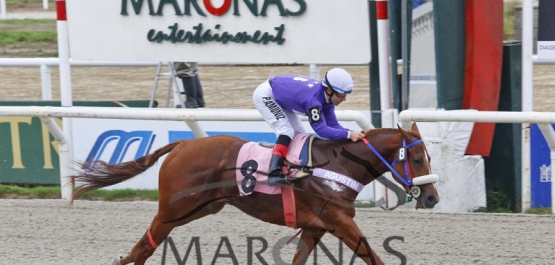 Domingo 28 de mayo de 2017 - Hipódromo Nacional de Maroñas