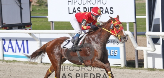 Sábado 3 de junio de 2017 - Hipódromo Las Piedras