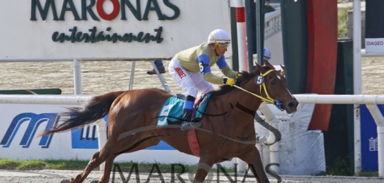 Domingo 4 de junio de 2017 - Hipódromo Nacional de Maroñas