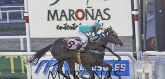 PREMIO: JUVENILE COPA CODERE