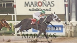 PREMIO: JUVENILE FILLIES COPA ORIBE REMATES