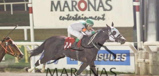 PREMIO: JUVENILE FILLIES COPA ORIBE REMATES