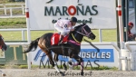 Clásico Reapertura Hipódromo Nacional de Maroñas