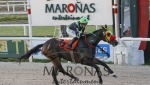 Gran Premio Criterium (Potrancas) (G2)