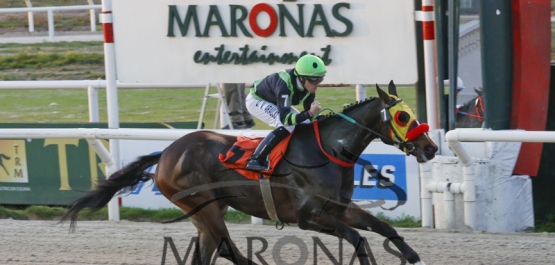 Gran Premio Criterium (Potrancas) (G2)