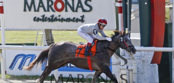 Domingo 25 de junio de 2017 - Hipódromo Nacional de Maroñas