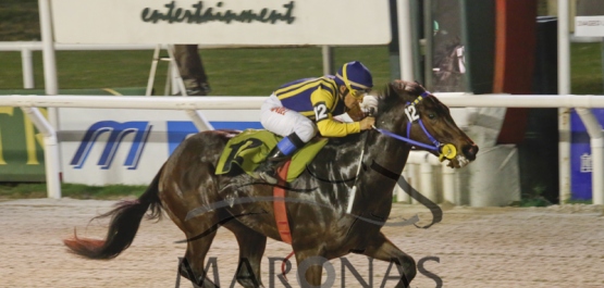 Gran Premio Criterium (Potrillos) (G2)