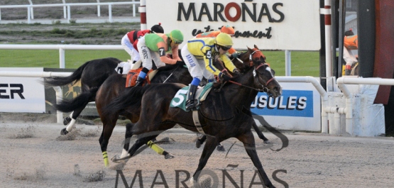 Viernes 30 de junio de 2017 - Hipódromo Nacional de Maroñas