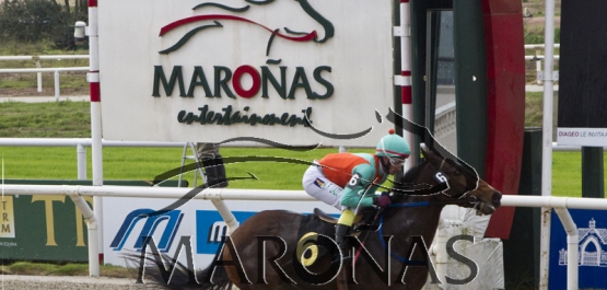 Domingo 16 de julio de 2017 - Hipódromo Nacional de Maroñas