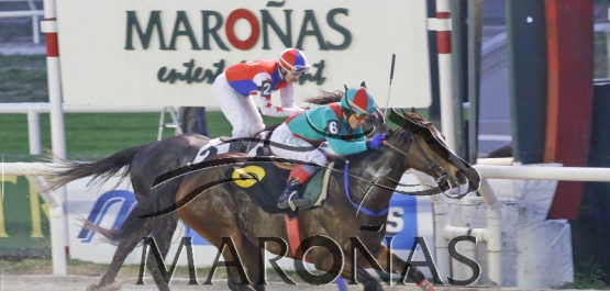 Clásico Francisco Etcheverry Vidal (L)