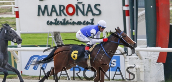 Domingo 23 de julio de 2017 - Hipódromo Nacional de Maroñas