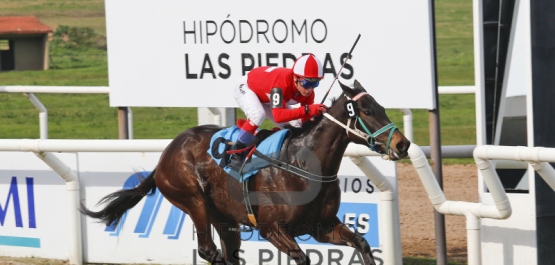 Sábado 29 de julio de 2017 - Hipódromo Las Piedras